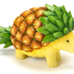 ananas – ježek