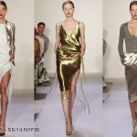 ALTUZARRA metal trend
