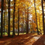 Lazne_Msene_Park